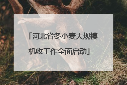 河北省冬小麦大规模机收工作全面启动