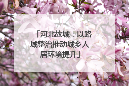 河北故城：以路域整治推动城乡人居环境提升