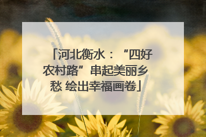 河北衡水：“四好农村路”串起美丽乡愁 绘出幸福画卷