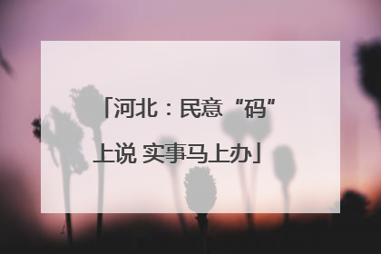 河北：民意“码”上说 实事马上办