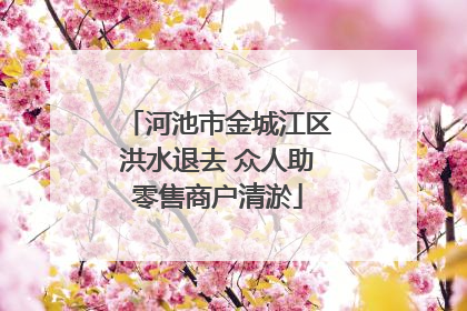 河池市金城江区洪水退去 众人助零售商户清淤