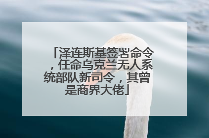 泽连斯基签署命令，任命乌克兰无人系统部队新司令，其曾是商界大佬