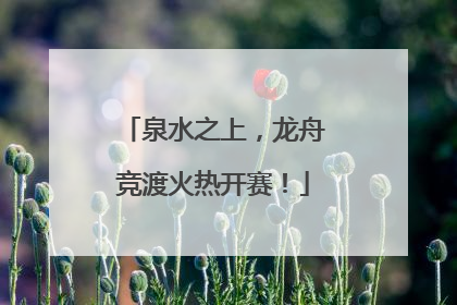泉水之上，龙舟竞渡火热开赛！