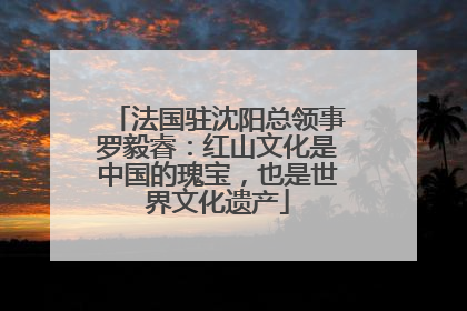 法国驻沈阳总领事罗毅睿：红山文化是中国的瑰宝，也是世界文化遗产