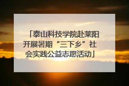 泰山科技学院赴莱阳开展暑期“三下乡”社会实践公益志愿活动