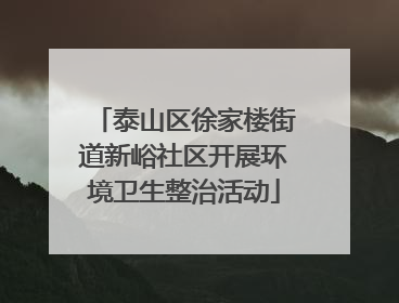 泰山区徐家楼街道新峪社区开展环境卫生整治活动