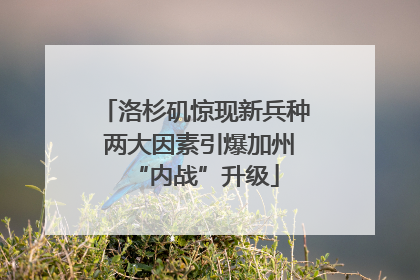 洛杉矶惊现新兵种 两大因素引爆加州“内战”升级