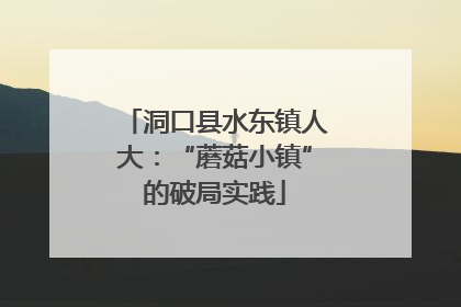 洞口县水东镇人大：“蘑菇小镇”的破局实践