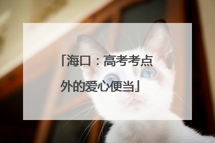 海口：高考考点外的爱心便当