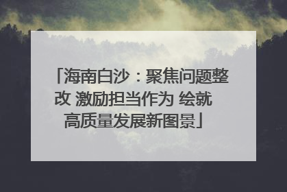 海南白沙：聚焦问题整改 激励担当作为 绘就高质量发展新图景
