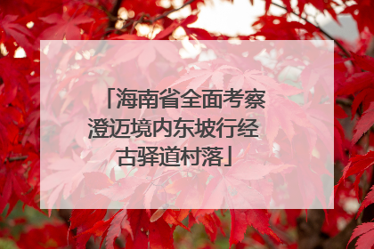 海南省全面考察澄迈境内东坡行经古驿道村落