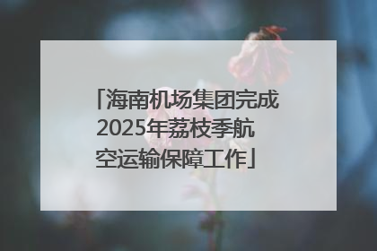 海南机场集团完成2025年荔枝季航空运输保障工作