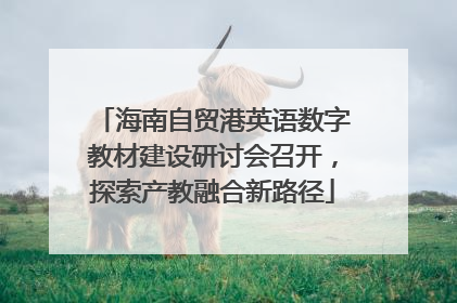 海南自贸港英语数字教材建设研讨会召开，探索产教融合新路径