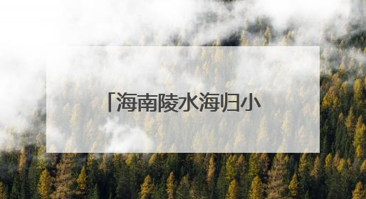 海南陵水海归小镇举办生态共建大会，数智赋能产业共创出海新未来