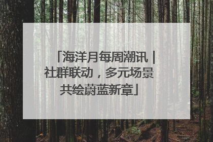 海洋月每周潮讯｜社群联动，多元场景共绘蔚蓝新章