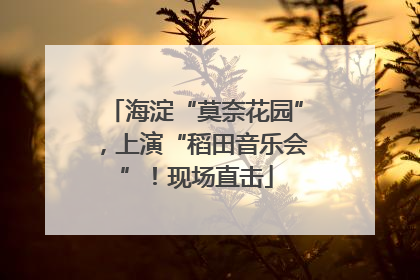 海淀“莫奈花园”，上演“稻田音乐会”！现场直击