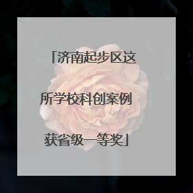 济南起步区这所学校科创案例获省级一等奖