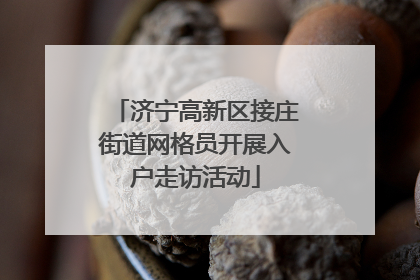 济宁高新区接庄街道网格员开展入户走访活动