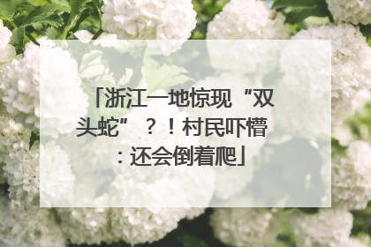 浙江一地惊现“双头蛇”？！村民吓懵：还会倒着爬