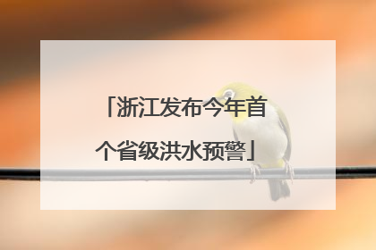 浙江发布今年首个省级洪水预警