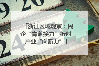 浙江区域观察：民企“青蓝接力”折射产业“向新力”