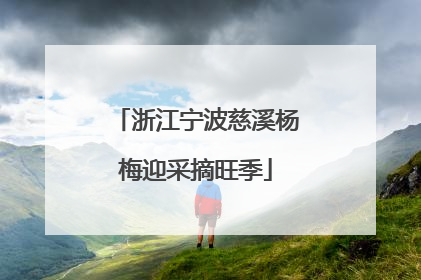 浙江宁波慈溪杨梅迎采摘旺季