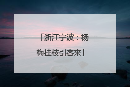 浙江宁波：杨梅挂枝引客来