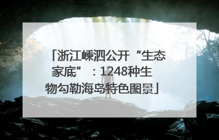 浙江嵊泗公开“生态家底”：1248种生物勾勒海岛特色图景