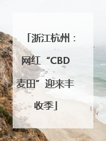 浙江杭州：网红“CBD麦田”迎来丰收季