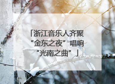 浙江音乐人齐聚“金东之夜”唱响“光南之曲”