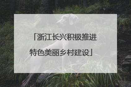 浙江长兴积极推进特色美丽乡村建设