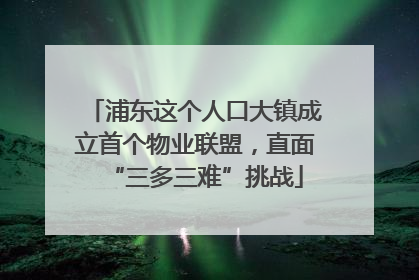 浦东这个人口大镇成立首个物业联盟，直面“三多三难”挑战
