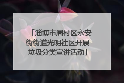 淄博市周村区永安街街道光明社区开展垃圾分类宣讲活动