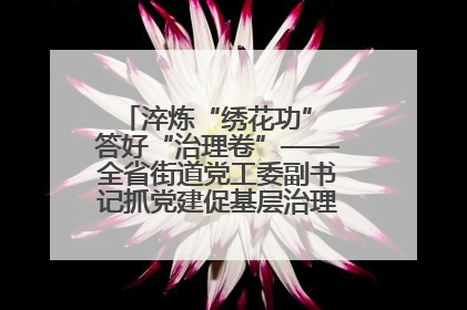 淬炼“绣花功” 答好“治理卷”——全省街道党工委副书记抓党建促基层治理培训示范班侧记