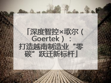 深度智控×歌尔（Goertek）：打造越南制造业“零碳”跃迁新标杆