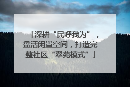 深耕“民呼我为”，盘活闲置空间，打造完整社区“翠苑模式”