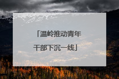 温岭推动青年干部下沉一线
