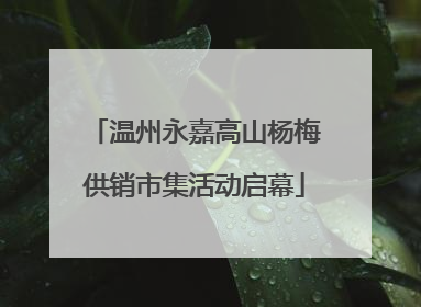 温州永嘉高山杨梅供销市集活动启幕