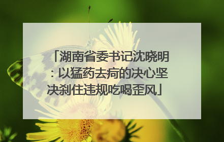 湖南省委书记沈晓明：以猛药去疴的决心坚决刹住违规吃喝歪风