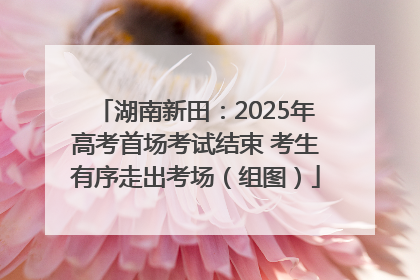 湖南新田：2025年高考首场考试结束 考生有序走出考场（组图）