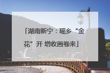 湖南新宁：瑶乡“金花”开 增收画卷来