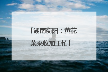 湖南衡阳：黄花菜采收加工忙