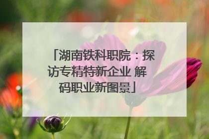 湖南铁科职院：探访专精特新企业 解码职业新图景