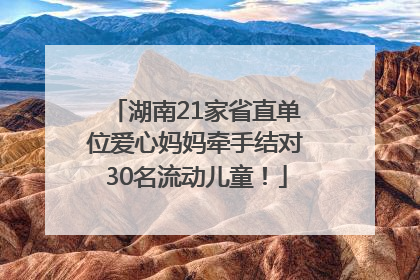 湖南21家省直单位爱心妈妈牵手结对30名流动儿童！