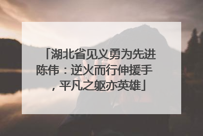 湖北省见义勇为先进陈伟：逆火而行伸援手，平凡之躯亦英雄