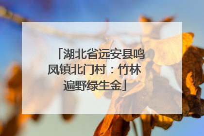 湖北省远安县鸣凤镇北门村：竹林遍野绿生金