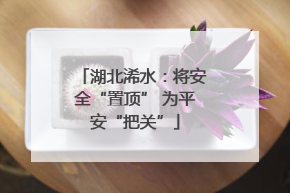 湖北浠水：将安全“置顶” 为平安“把关”