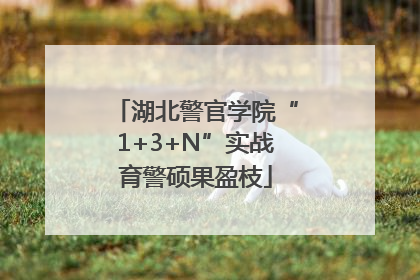 湖北警官学院“1+3+N”实战育警硕果盈枝