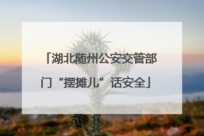湖北随州公安交管部门“摆摊儿”话安全