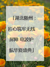 湖北随州：匠心筑牢无线屏障 电波护航华夏盛典